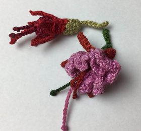 fuchsia1