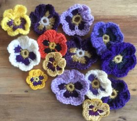 pansy 1